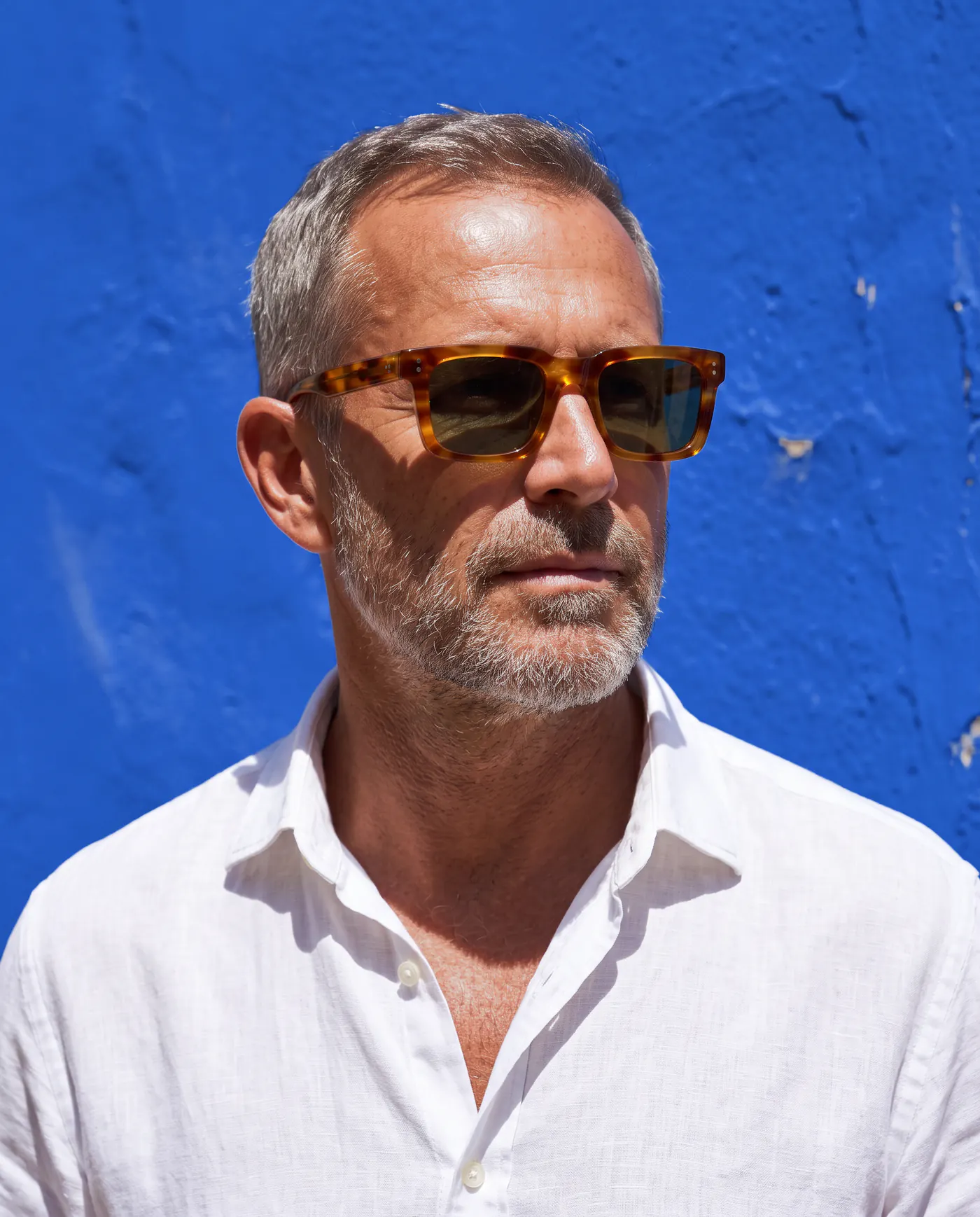Hombre de pelo gris con las Formentor de carey miel delante de una pared azul cobalto, con sol de mediodía